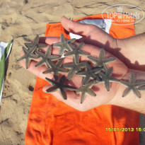 фото из отзыва ID 666498