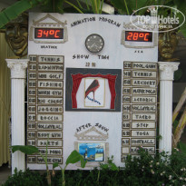 фото из отзыва ID 666867