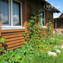 фото из отзыва ID 666875