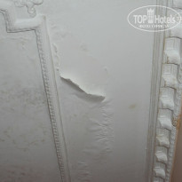 фото из отзыва ID 666973