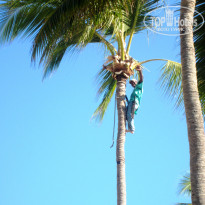 фото из отзыва ID 666411