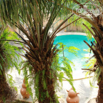 фото из отзыва ID 666105