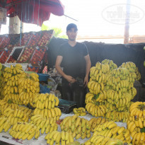 фото из отзыва ID 667415