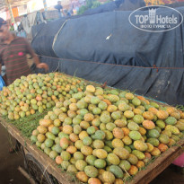 фото из отзыва ID 667415