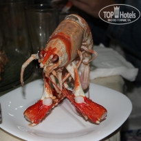 фото из отзыва ID 667415