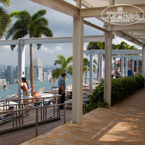 фото из отзыва ID 667023