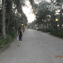 фото из отзыва ID 667126