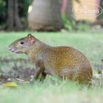 фото из отзыва ID 667171