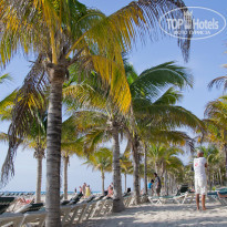 фото из отзыва ID 667171