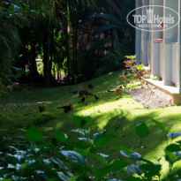 фото из отзыва ID 667171