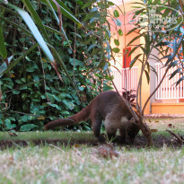 фото из отзыва ID 667171