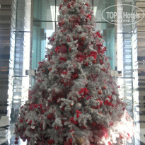 фото из отзыва ID 667232