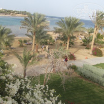 фото из отзыва ID 667372