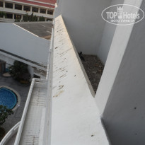 фото из отзыва ID 667435