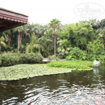 фото из отзыва ID 667524