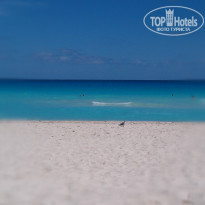 фото из отзыва ID 667213