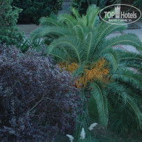 фото из отзыва ID 667847