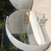 фото из отзыва ID 667916