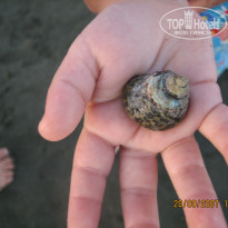 фото из отзыва ID 667933