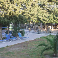 фото из отзыва ID 66867