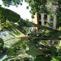 фото из отзыва ID 668795