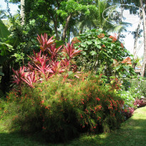 фото из отзыва ID 668795