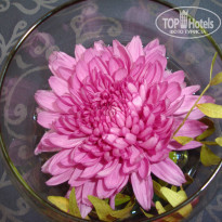 фото из отзыва ID 668258