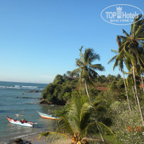 фото из отзыва ID 668410