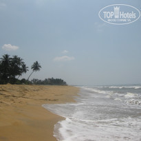 фото из отзыва ID 668467