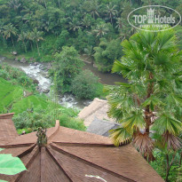 фото из отзыва ID 668561