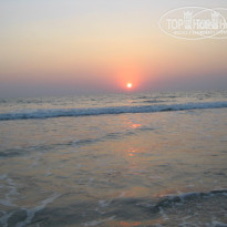 фото из отзыва ID 668730