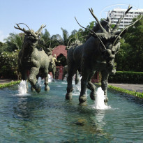 фото из отзыва ID 669120