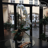 фото из отзыва ID 669352