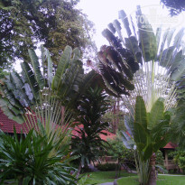 фото из отзыва ID 669355