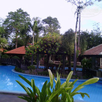 фото из отзыва ID 669355