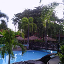 фото из отзыва ID 669355