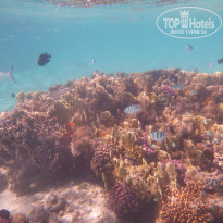 фото из отзыва ID 669691