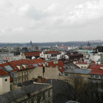 фото из отзыва ID 669758