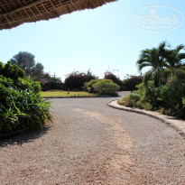 фото из отзыва ID 669762