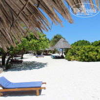 фото из отзыва ID 669762