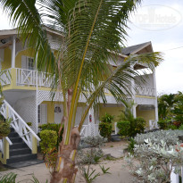 фото из отзыва ID 669963