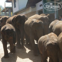 фото из отзыва ID 670011