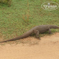 фото из отзыва ID 670011