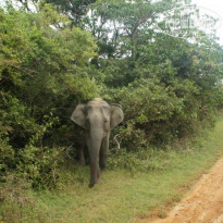 фото из отзыва ID 670011