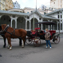 фото из отзыва ID 670096