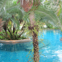 фото из отзыва ID 670103