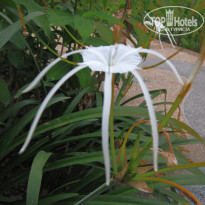 фото из отзыва ID 670103