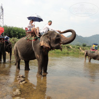 фото из отзыва ID 670111