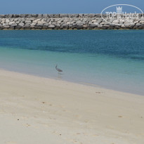 фото из отзыва ID 670106