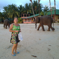 фото из отзыва ID 670488